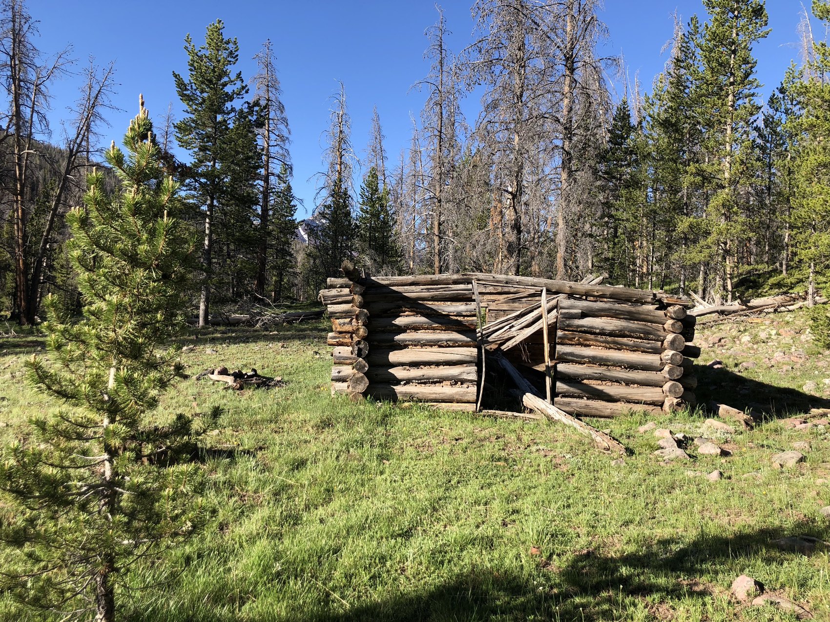 Weathered Timber Shelter landscape print