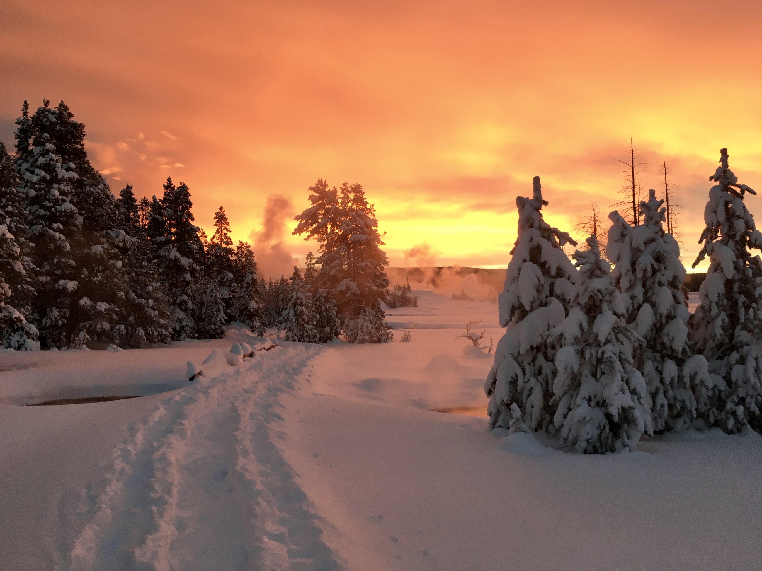Yellowstone Winter Firelight landscape print